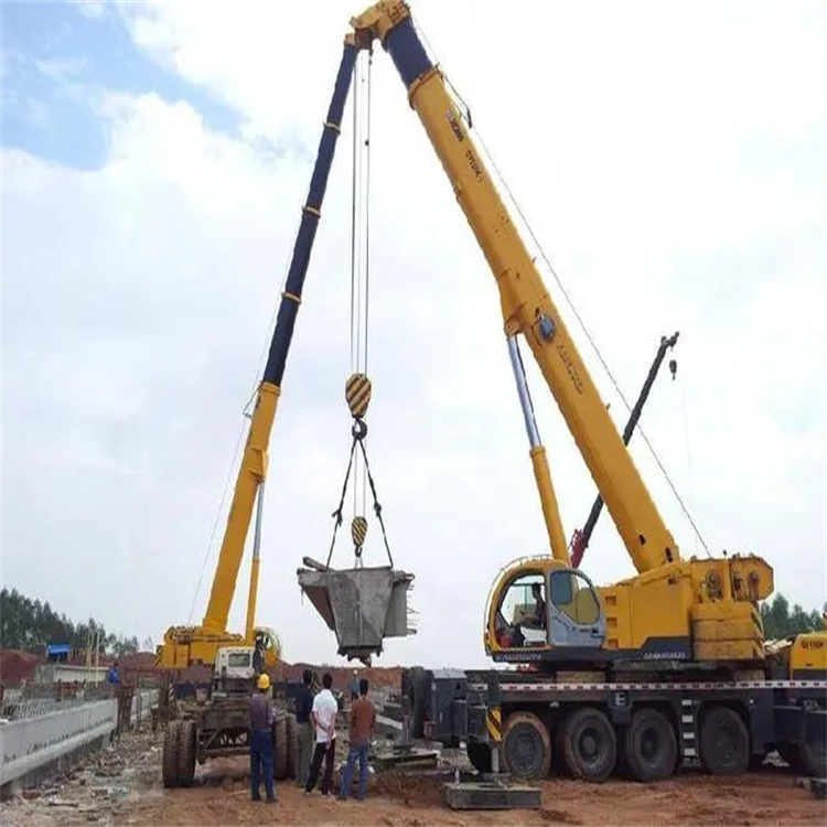 仙居小型吊机出租电话|厂房设备吊装方案|24小时服务覆盖